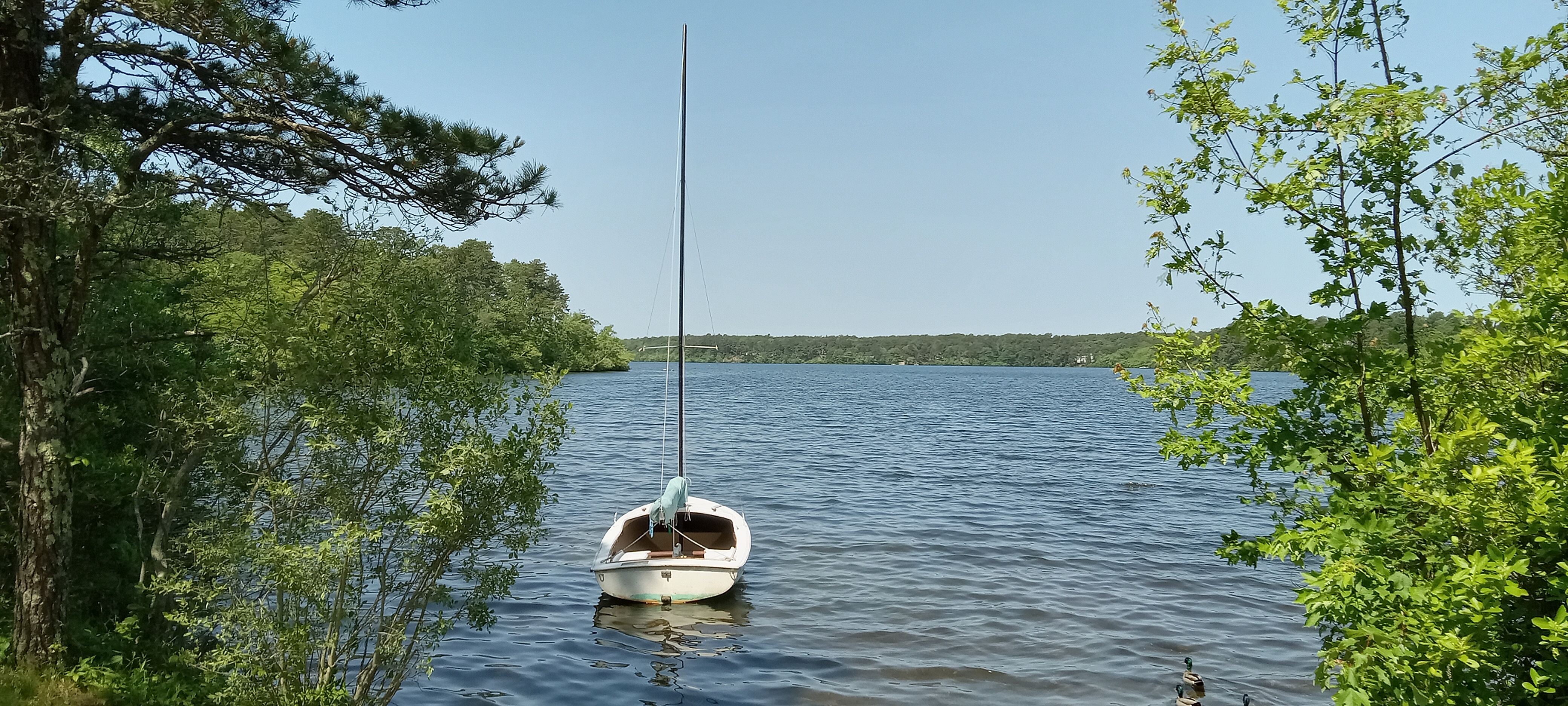 Basic Sailing Course